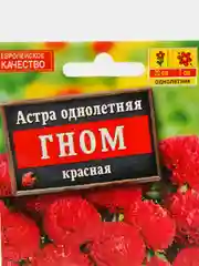 Семена Астра однолетняя "Гном", красная