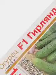 Семена Огурец "F1 Гирлянда"