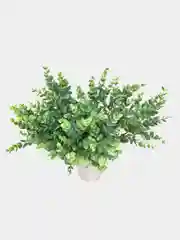 Искусственный эвкалипт, для интерьера
