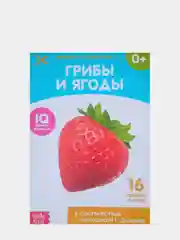 Индиго развивающие книги-карточки Домана, 20 страниц