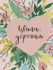 Набор из 5-ти открыток life poster
