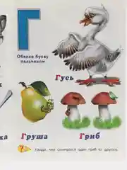 Книга Первый учебник малыша "Буквы и цифры"