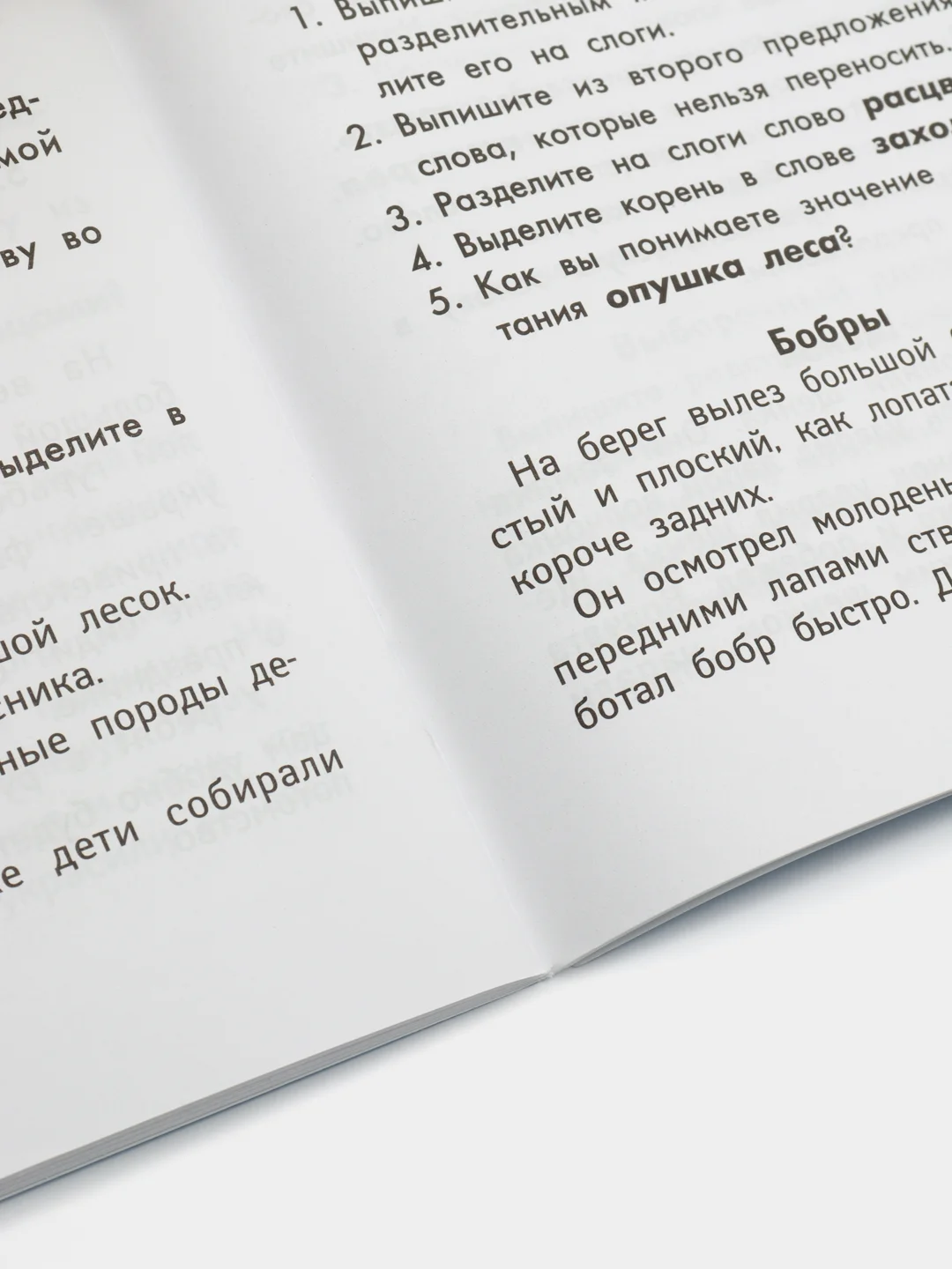Лучшие диктанты и грамматические задания по русскому языку повышенной сложности: 2 класс