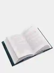 Одна истинная королева. Книга 1, Дженнифер Бенкау