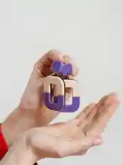 Фиолетовый серьги гвоздики