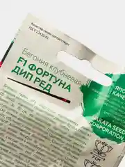 Семена Бегония F1 "Фортуна дип ред"