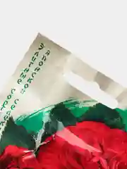 Семена Бегония F1 "Фортуна дип ред"