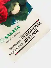 Семена Бегония F1 "Фортуна дип ред"