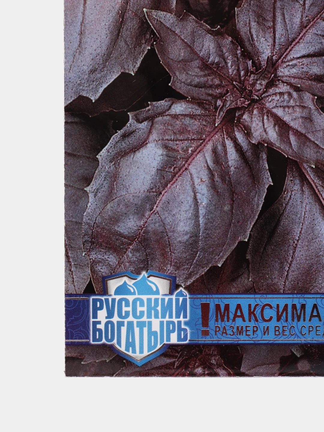 Базилик "Русский Гигант" (семена)