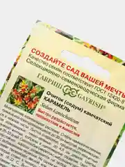 Семена Очиток камчатский (Седум) Карамель