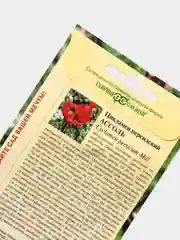 Семена Цикламен персидский "Ассоль"