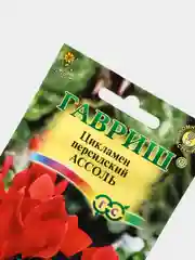 Семена Цикламен персидский "Ассоль"
