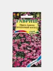 Семена Обриета "Пурпурный каскад"