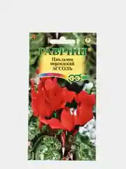 Семена Цикламен персидский "Ассоль"