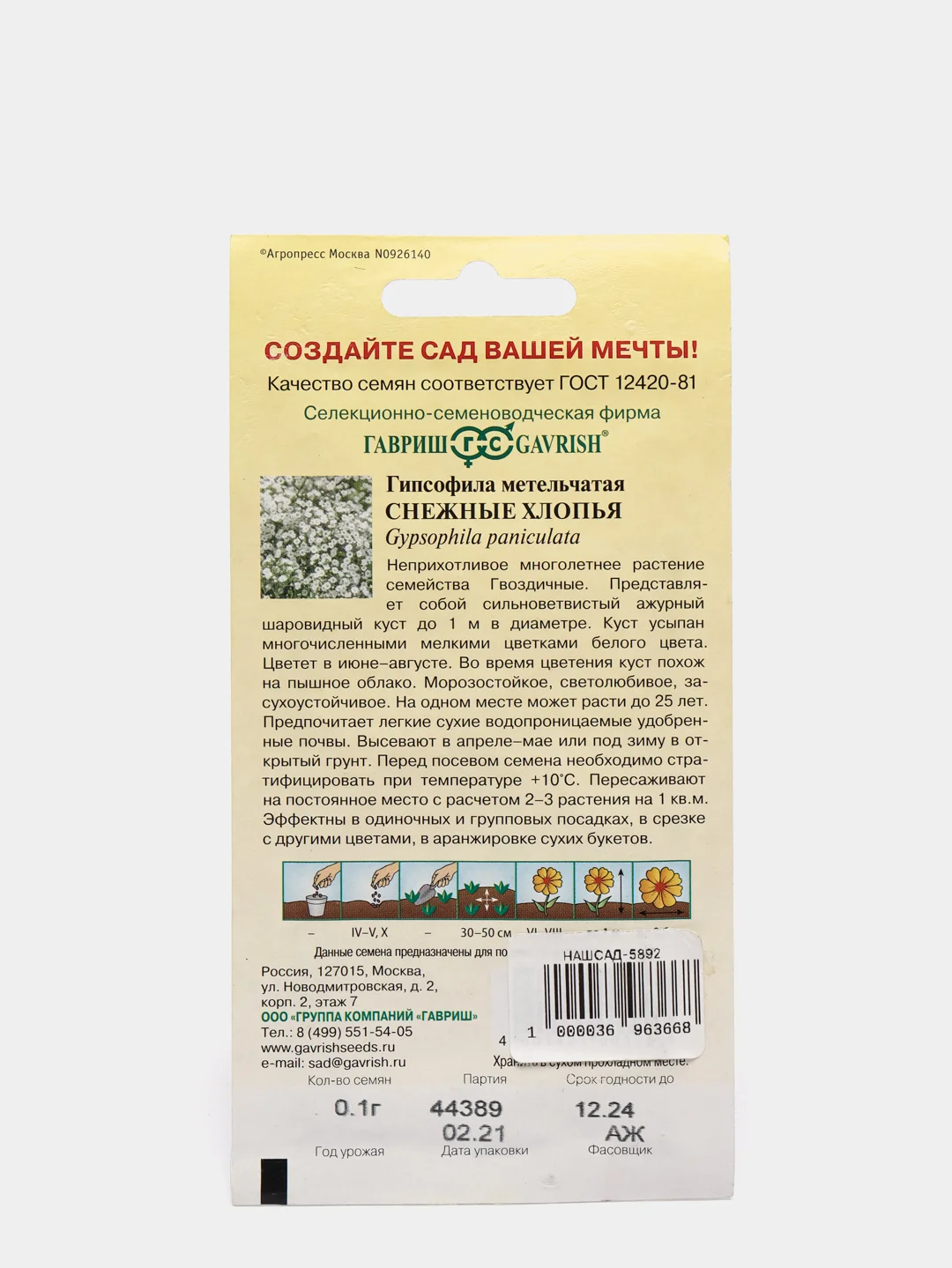 Семена набор 2шт Гипсофила  Снежные хлопья