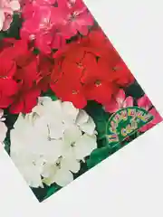 Семена Пеларгония зональная "Великолепная смесь"