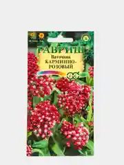 Семена Ваточник Карминно-розовый