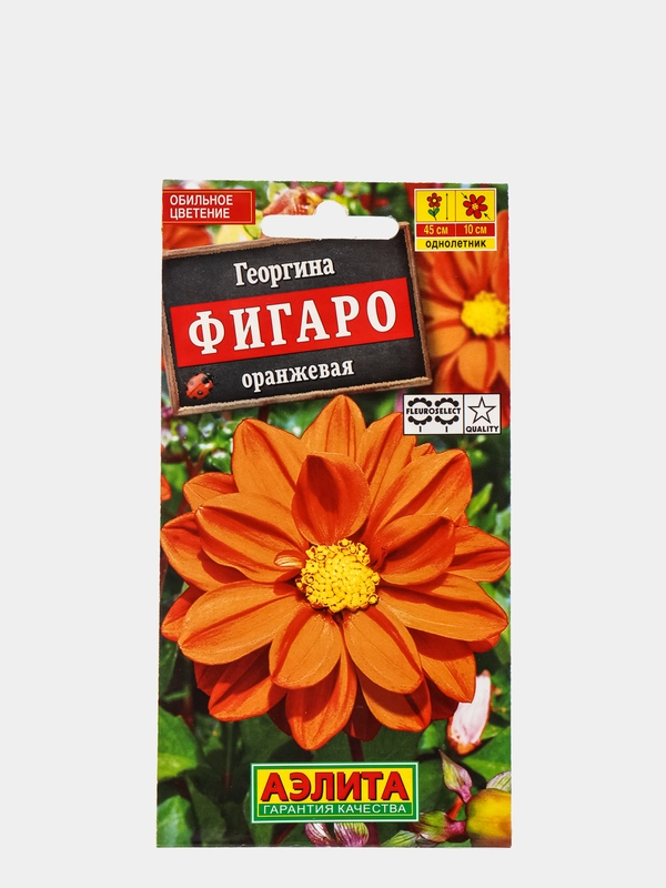 Георгина "Фигаро махровая оранжевая", набор по 1, 3, 5 шт