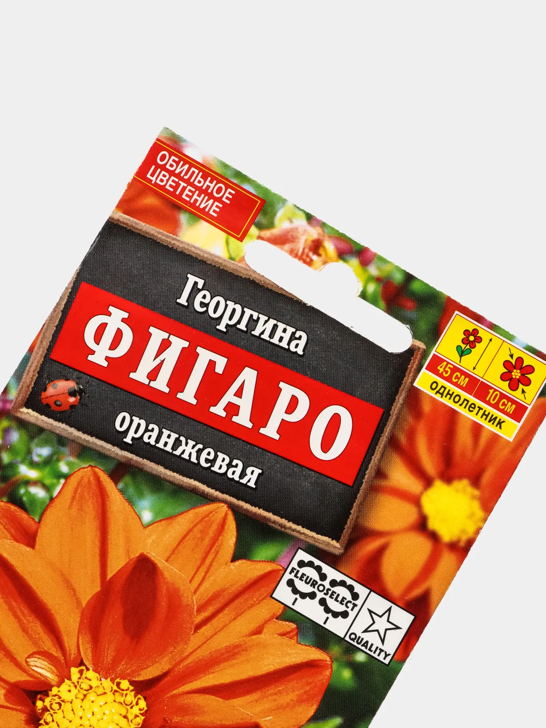Георгина "Фигаро махровая оранжевая", набор по 1, 3, 5 шт