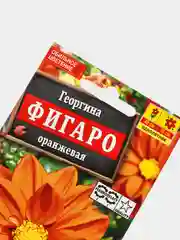 Георгина "Фигаро махровая оранжевая", набор по 1, 3, 5 шт