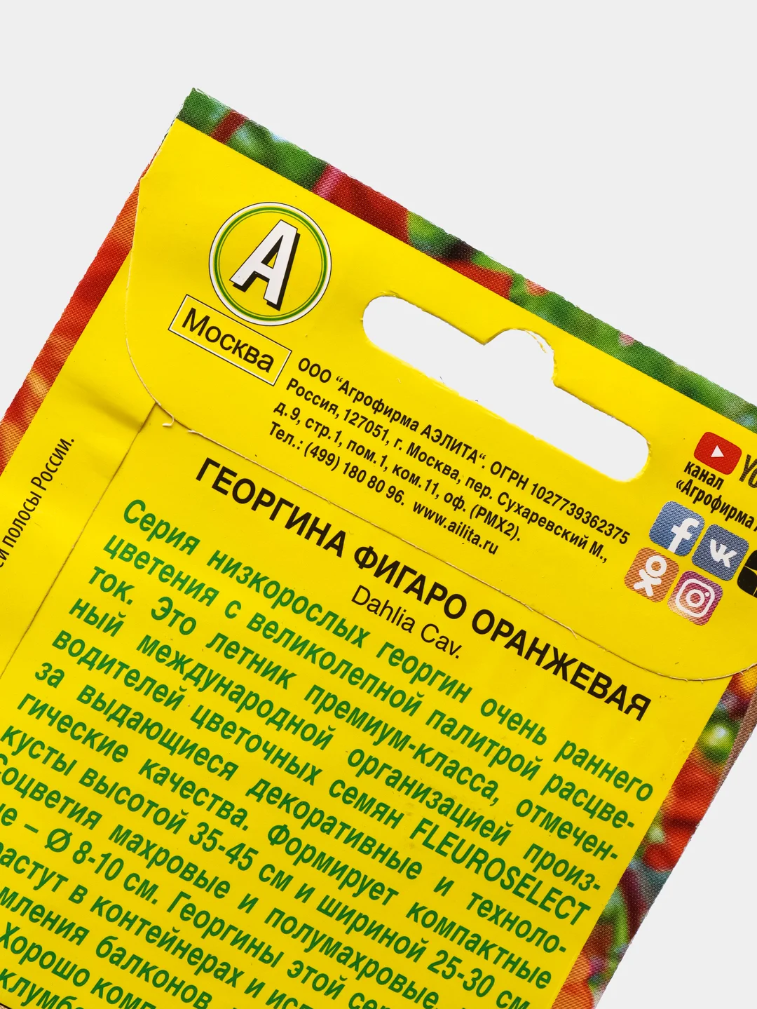 Георгина "Фигаро махровая оранжевая", набор по 1, 3, 5 шт