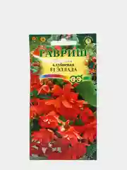 Семена Бегония клубневая F1 "Эллада"