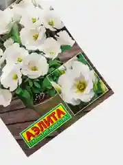 Семена Эустома крупноцветковая Сапфир белая