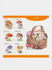 Деревянное лото Собирай-ка: овощи, фрукты, грибы, цветы