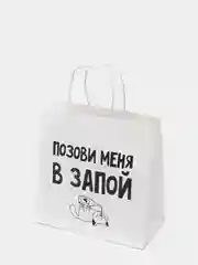 Падарочный пакет "С Дэ Рэ", 22х22х11 см (4 вида)