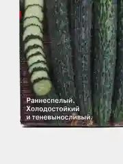 Семена Огурец F1  Изумрудный поток  набор 1, 3, 5 уп