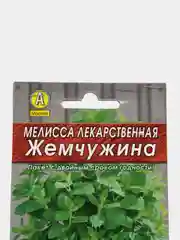 Семена Мелисса лекарственная  Жемчужина  набор 1, 3, 5 уп