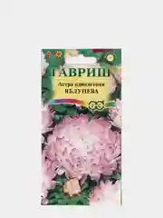 Астра Яблунева (семена,цветы)