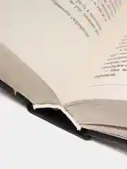 Абиссаль