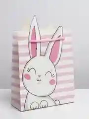 Пакет подарочный, 25 x 26 х 10 см