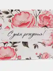 Коралловый меланж конверт для денег, 14 видов