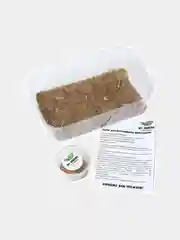Набор для выращивания микрозелени My Greens "Горчица"