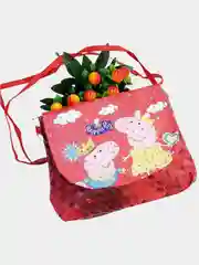 Красный детская сумочка
