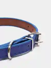 Ошейник из искусственной кожи с подкладкой