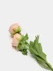 Коралловый меланж искусственные цветы Ранункулюс персиковый искусственная камелия пион