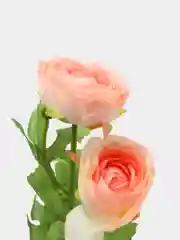 Коралловый меланж искусственные цветы Ранункулюс персиковый искусственная камелия пион