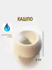 Кашпо из гипса для свечей, суккулентов