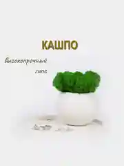 Кашпо из гипса для свечей, суккулентов
