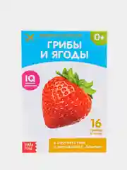 Ледяной развивающие карточки по методике Г. Домана в одном месте (мега)