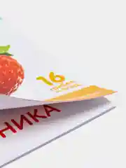 Ледяной развивающие карточки по методике Г. Домана в одном месте (мега)