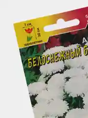 Астра "Бордюр белоснежный" (семена, цветы)