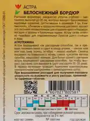 Астра "Бордюр белоснежный" (семена, цветы)
