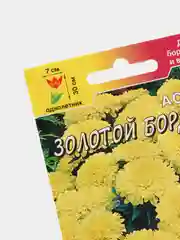 Астра Бордюр золотой, семена, цветы