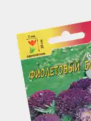 Астра "Бордюр" фиолетовый, семена, цветы