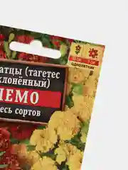 Бархатцы Немо (семена, цветы)