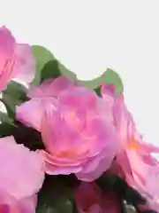 Розовый искусственные цветы Азалия